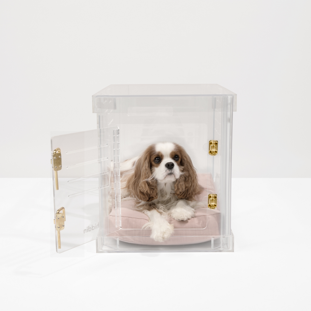 Clear Dog Crate to Gate | Small