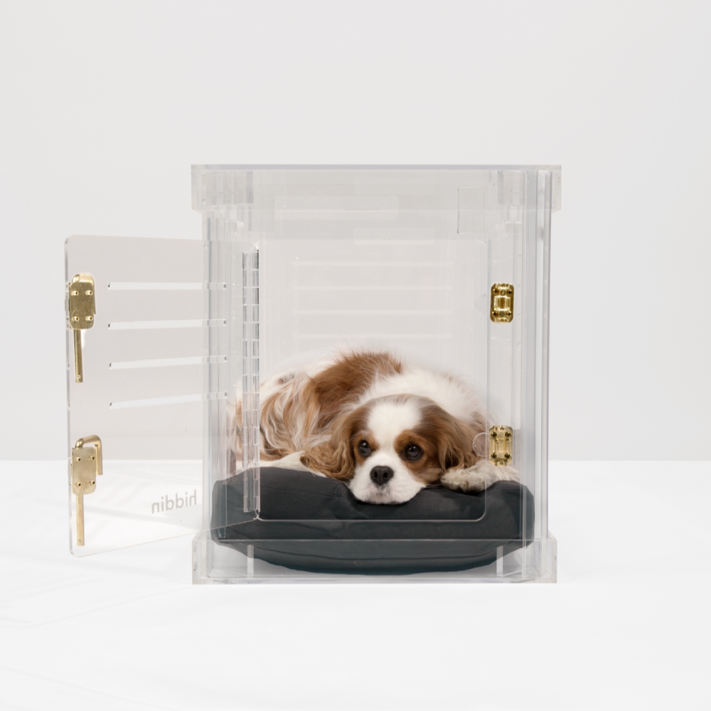 Dog crate for cavalier king charles spaniel best sale