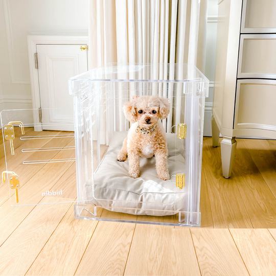 Clear Dog Crate to Gate | Small