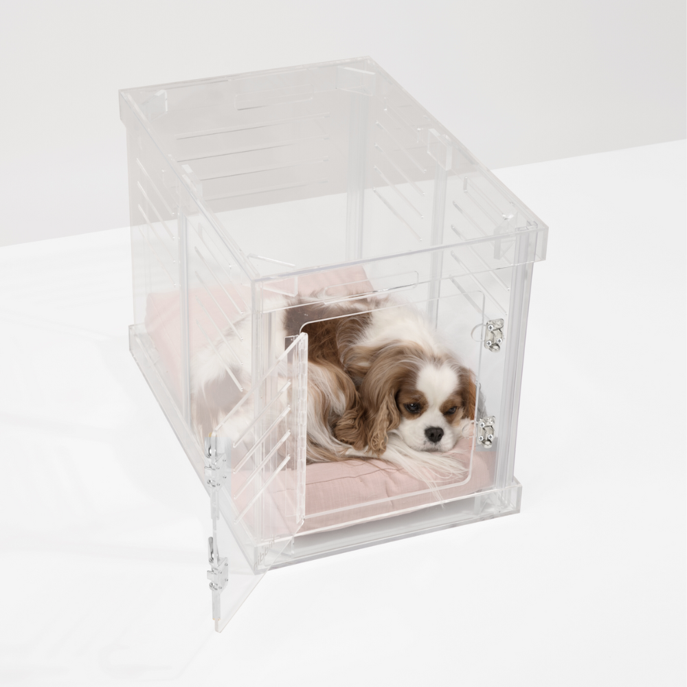 Clear dog cage clearance
