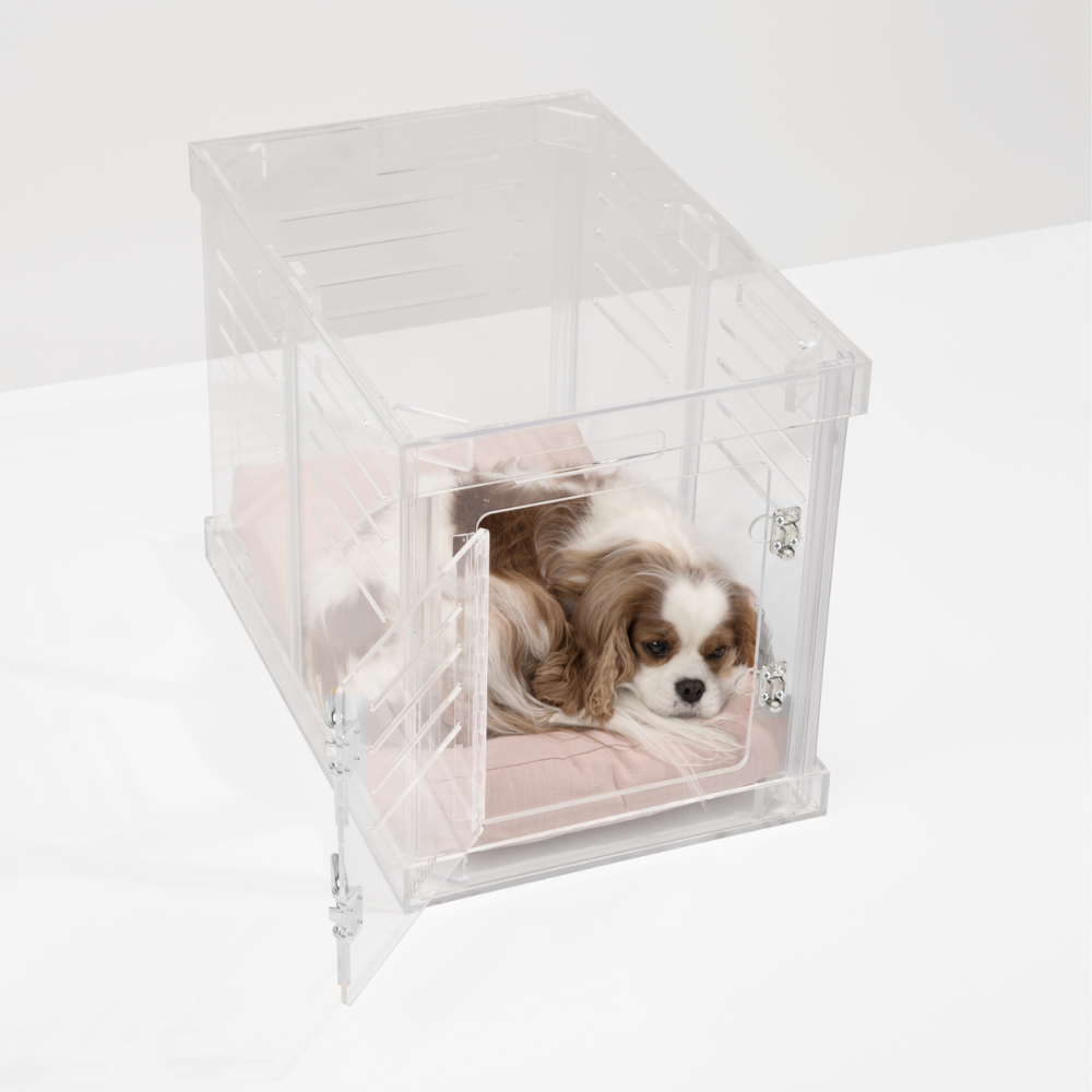 Clear dog cage best sale