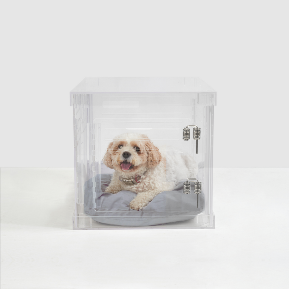 Clear Dog Crate to Gate | Small