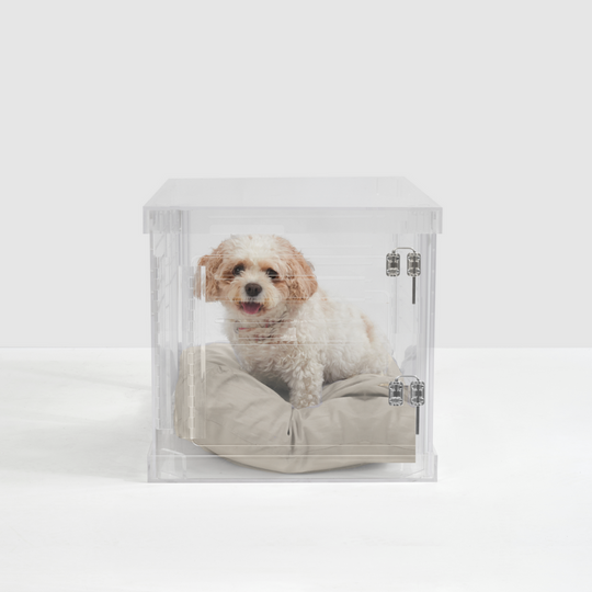 Clear Dog Crate to Gate | Small