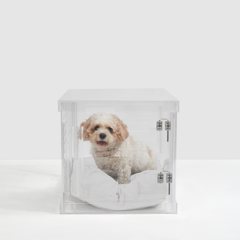 Clear Dog Crate to Gate | Small