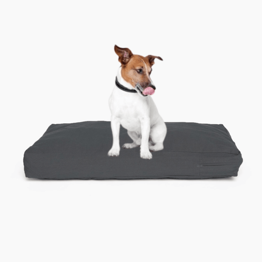 Hiddin Pet Cushion