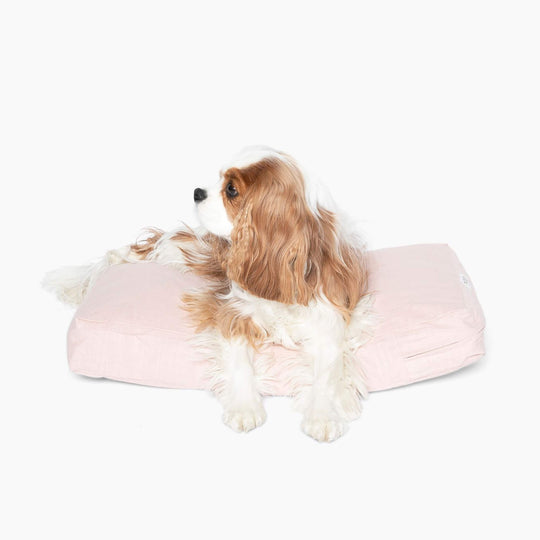 Hiddin Pet Cushion