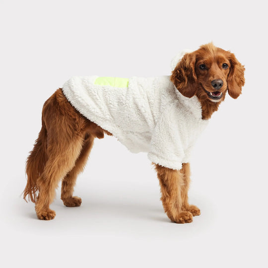 Cozy Dog Hoodie Robe | Options