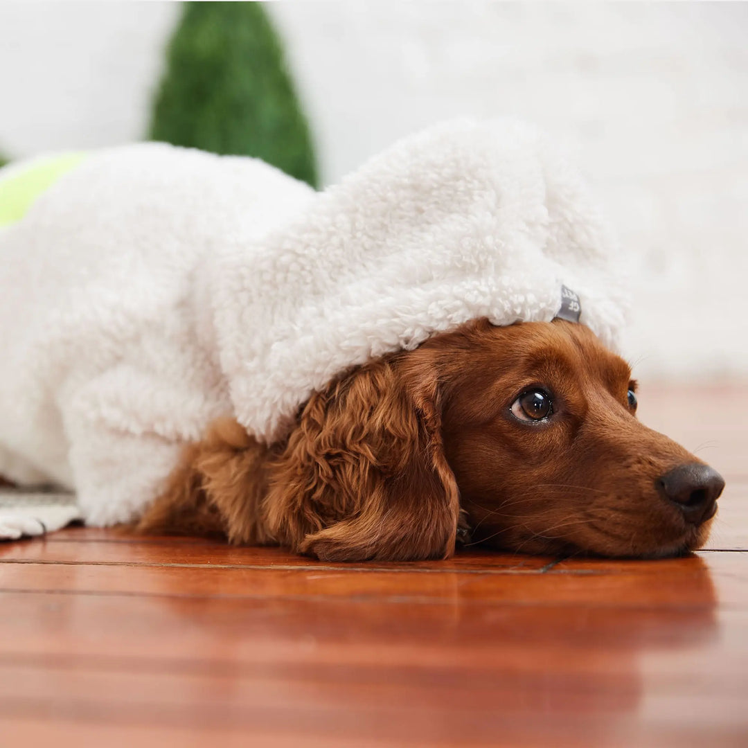 Cozy Dog Hoodie Robe | Options