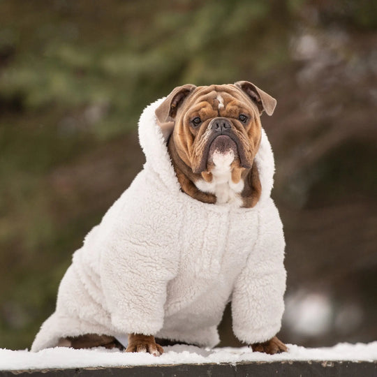 Cozy Dog Hoodie Robe | Options