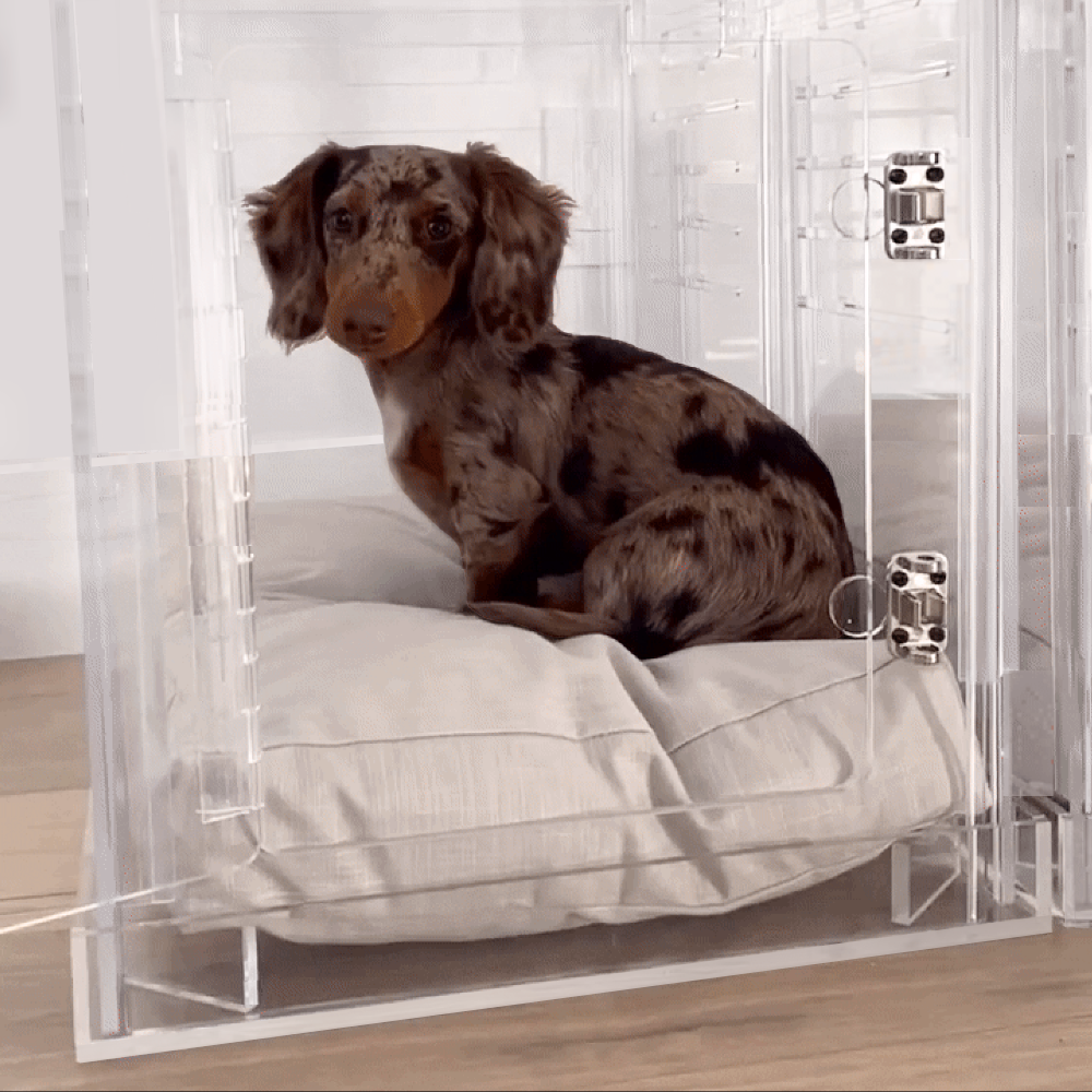 Small Crate (Silver Latch)