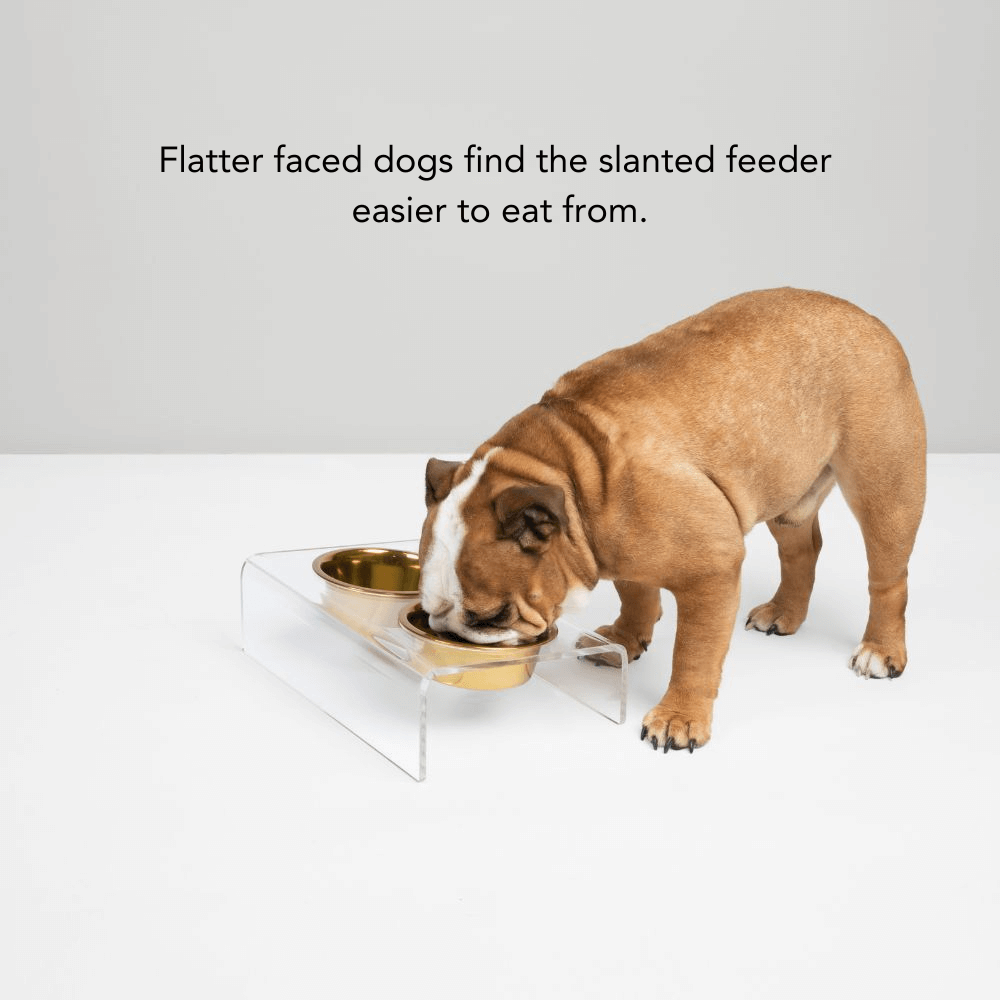 Slant Gold Feeder