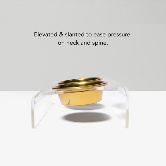 Clear Slanted Gold Bowl Feeder | Options