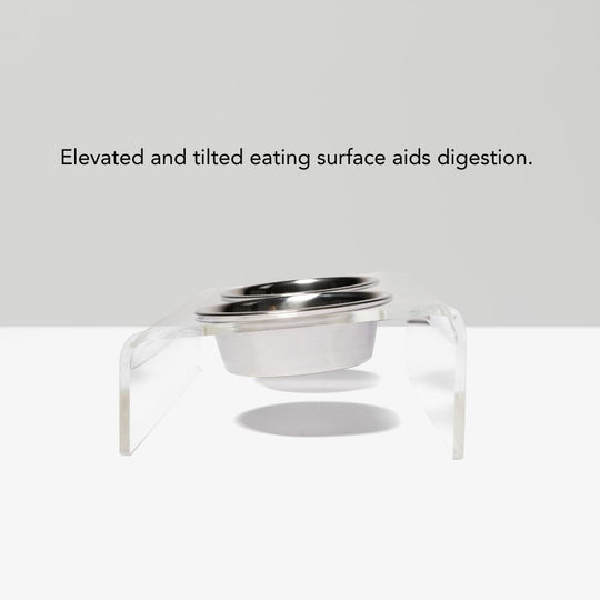 Clear Slanted Silver Bowl Feeder | Options