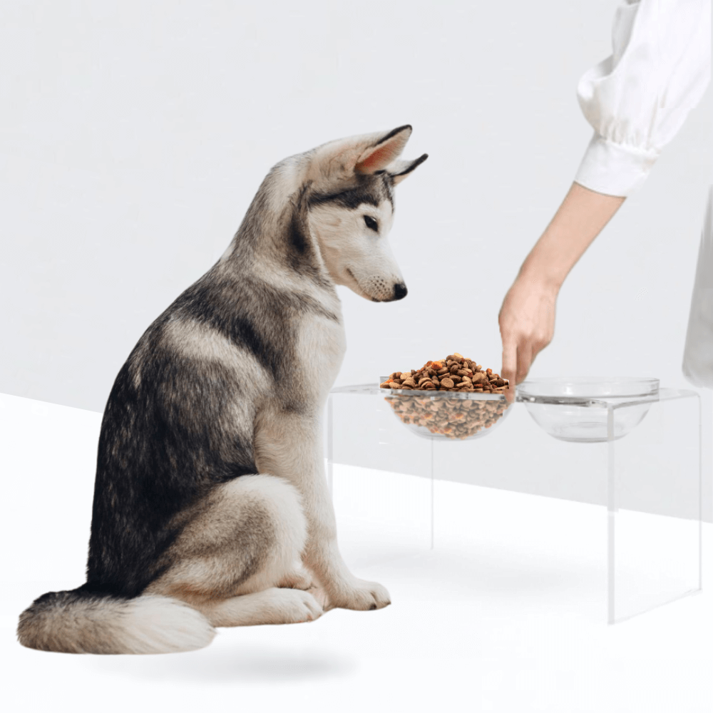 Tall Glass Bowl Feeder