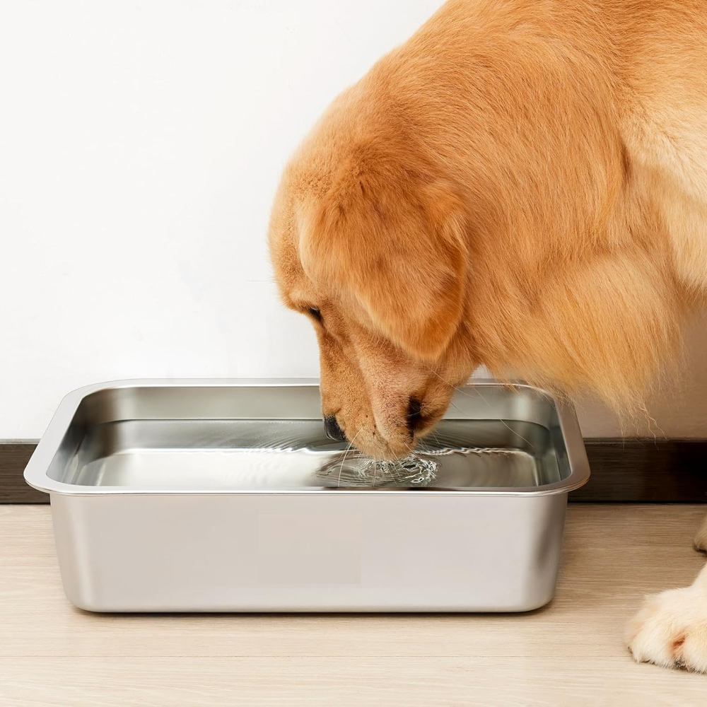 Clear Trough Dog Bowl Feeder | Options