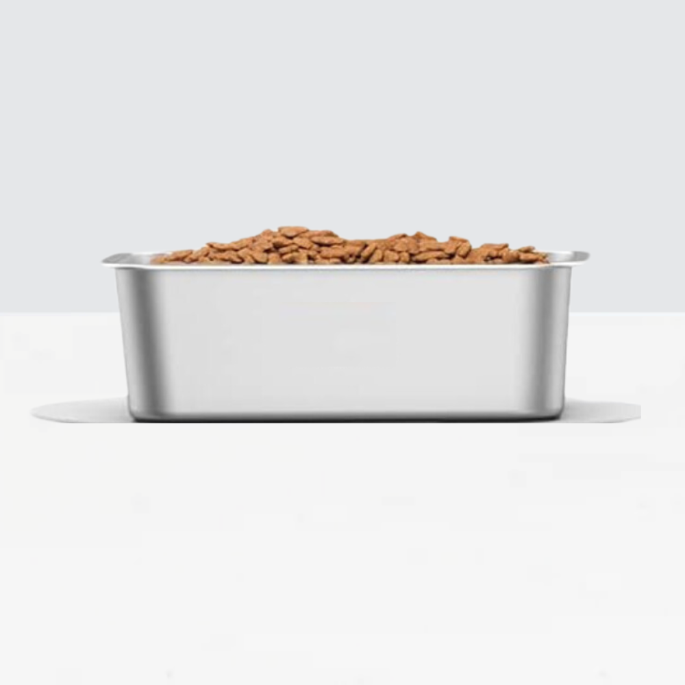 Clear Trough Dog Bowl Feeder | Options