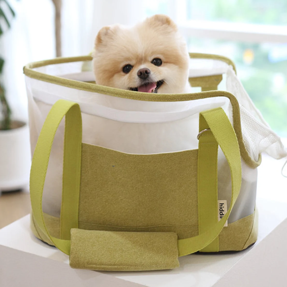 Mesh Travel Pet Carrier | Options