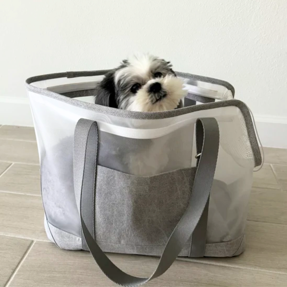 Mesh Travel Pet Carrier | Options