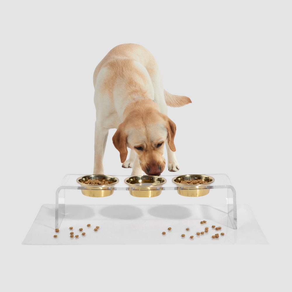 Medium Triple Dog Bowl Feeder with Gold Bowls