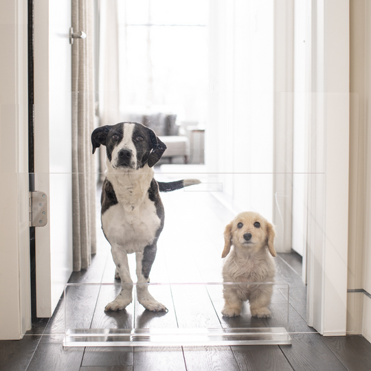 Low Clear Pet Gate Panel | Options