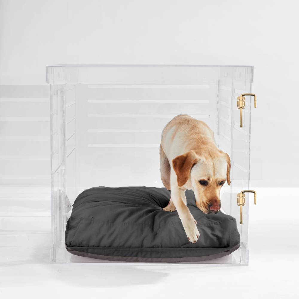 Clear Acrylic Dog Feeders Modern Elevated Dog Bowls Hiddin