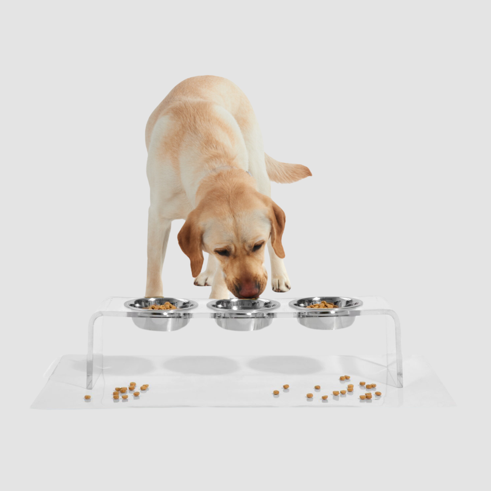 Medium Triple Dog Bowl Feeder with Silver Bowls