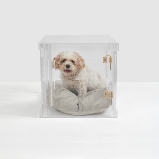 Clear Dog Crate to Gate | Small