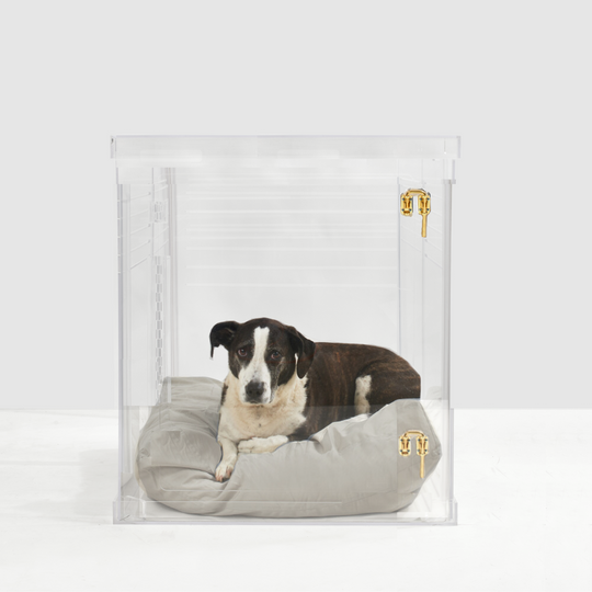 Clear Dog Crate to Gate | Medium