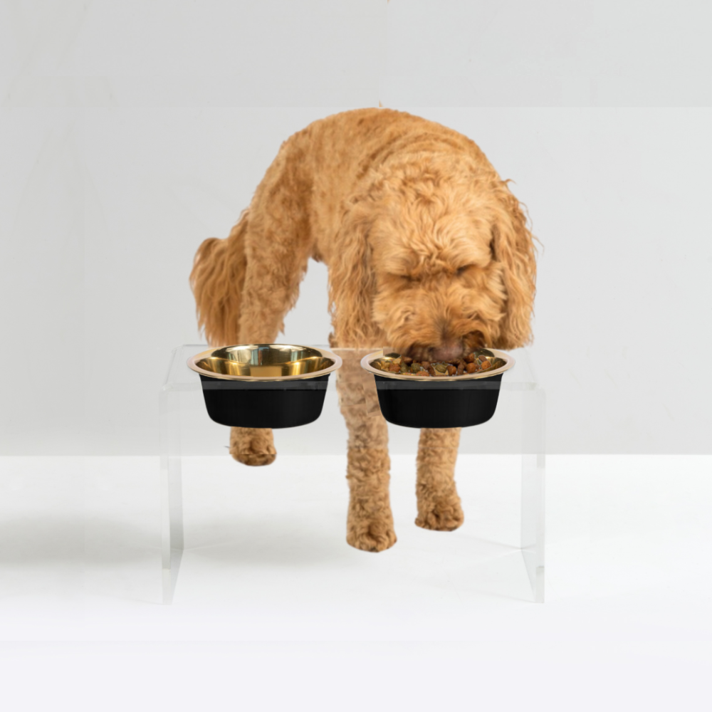 Tall Clear Double Pet Bowl Feeder with Glam Bowls | Options