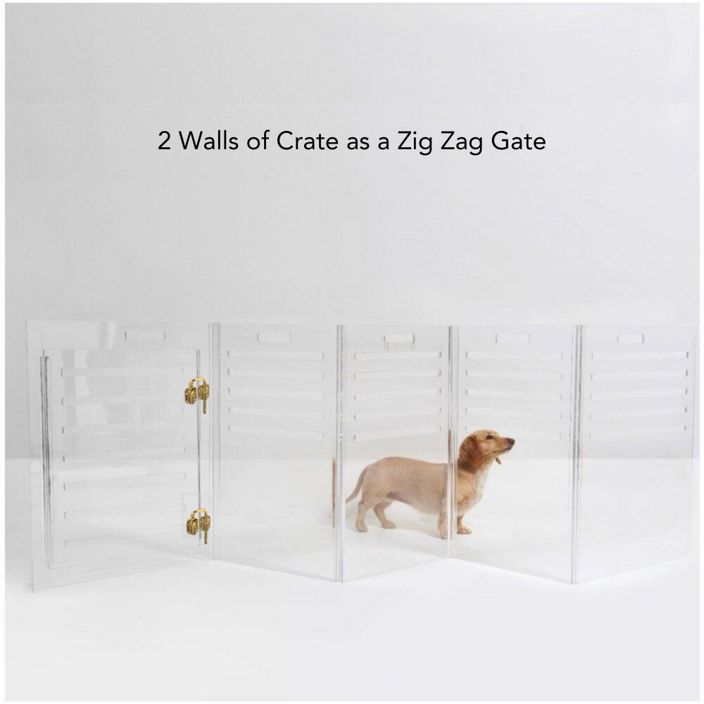 Clear Dog Crate to Gate | Medium