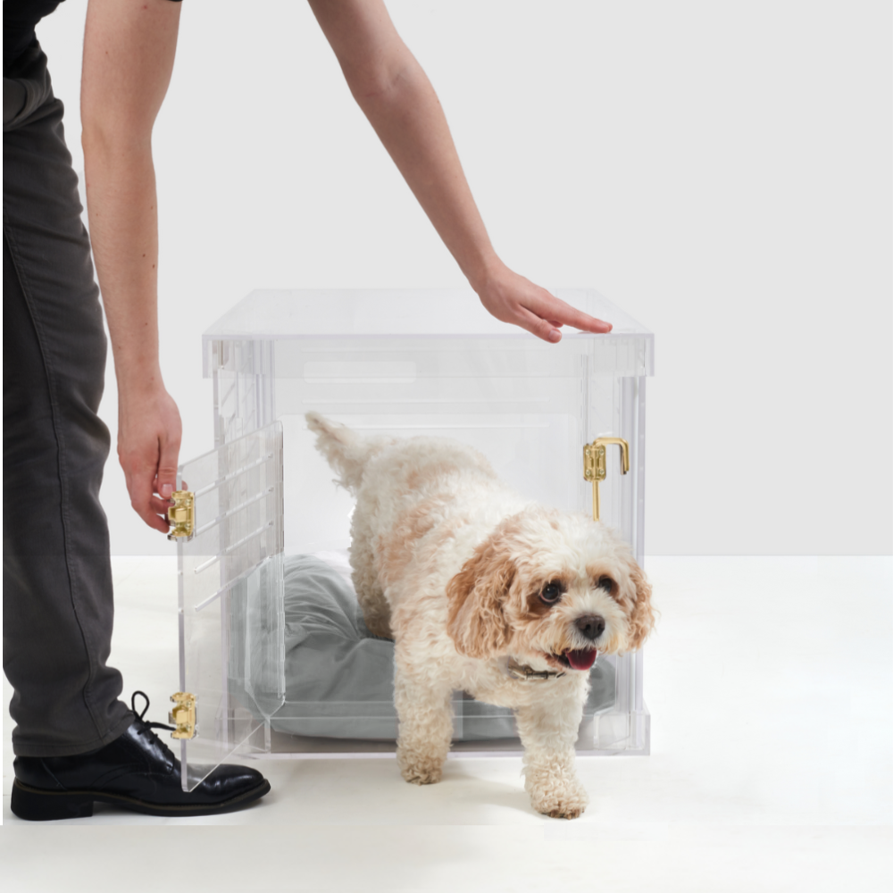 Clear Dog Crate to Gate | Small