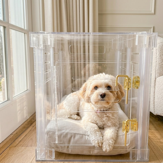 Small Crate (Gold Latch)