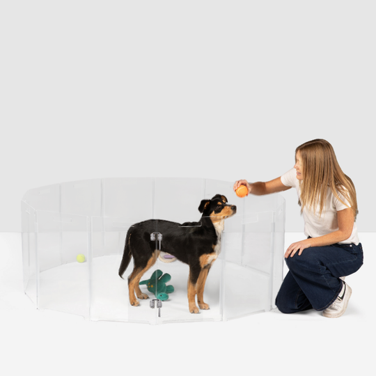 Portable Round Pet Playpen