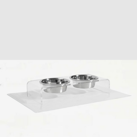 Small Clear Double Pet Bowl Feeder with Silver Bowls | Options