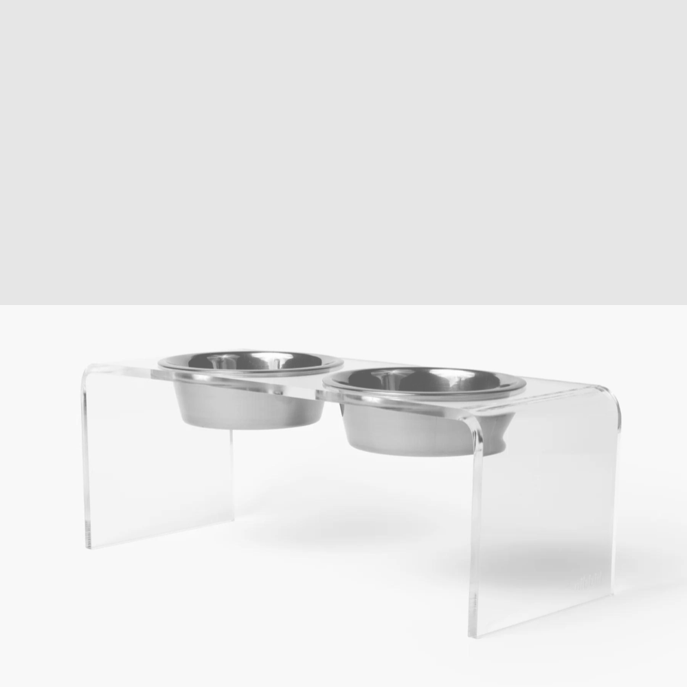 Medium Clear Double Pet Bowl Feeder with Silver Bowls | Options