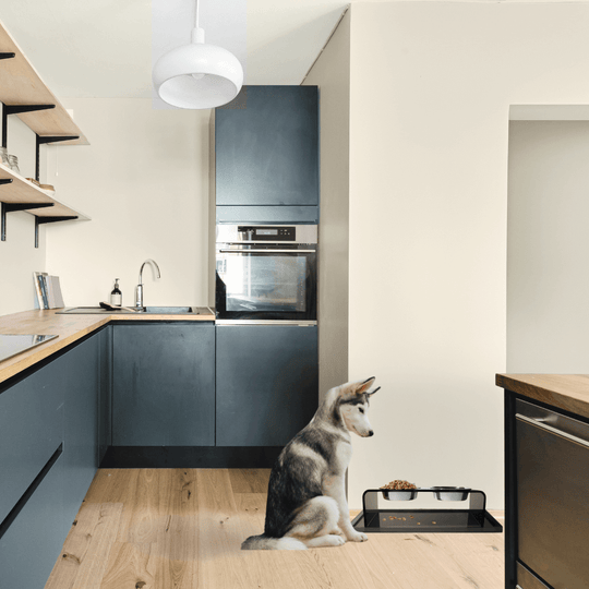 Bronze Overflow Feeder Tray