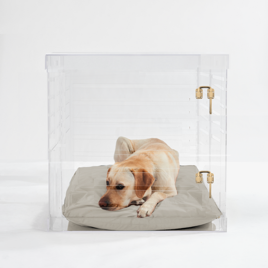 Large Crate (Gold Latch)