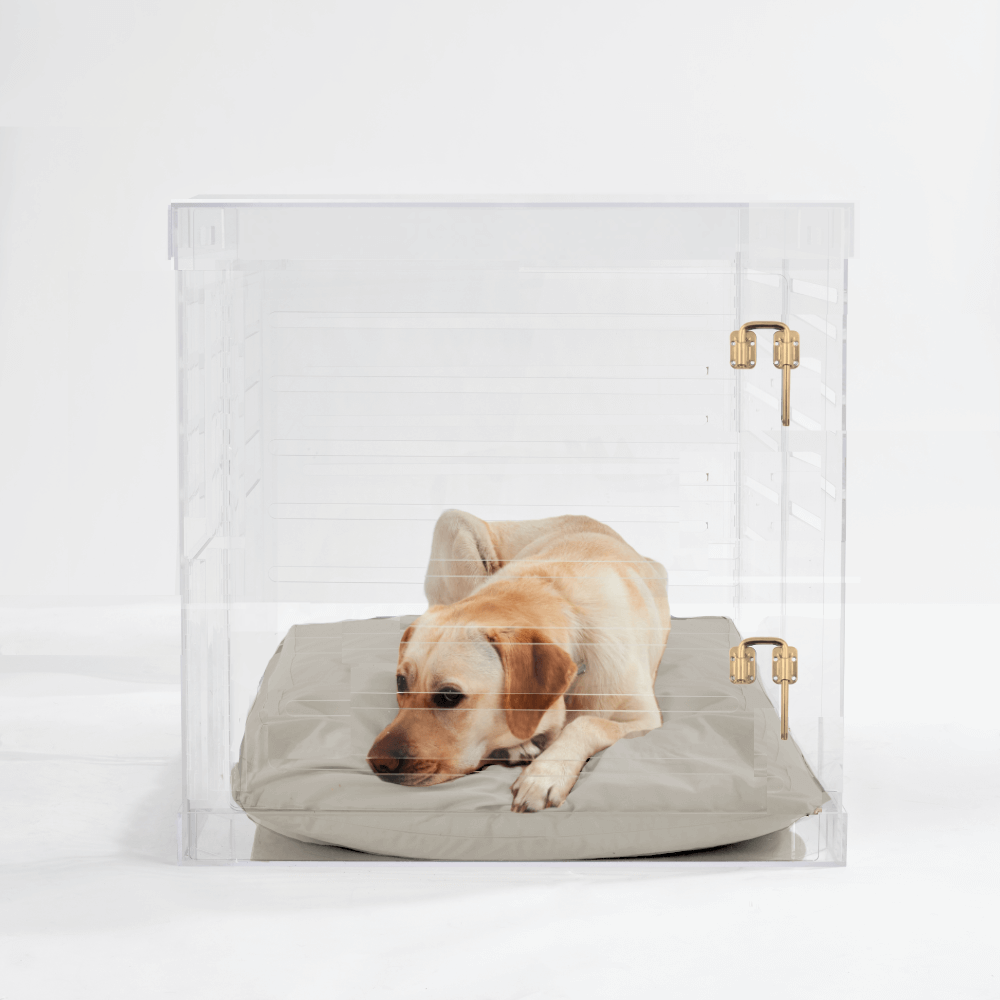 Large Crate (Gold Latch)