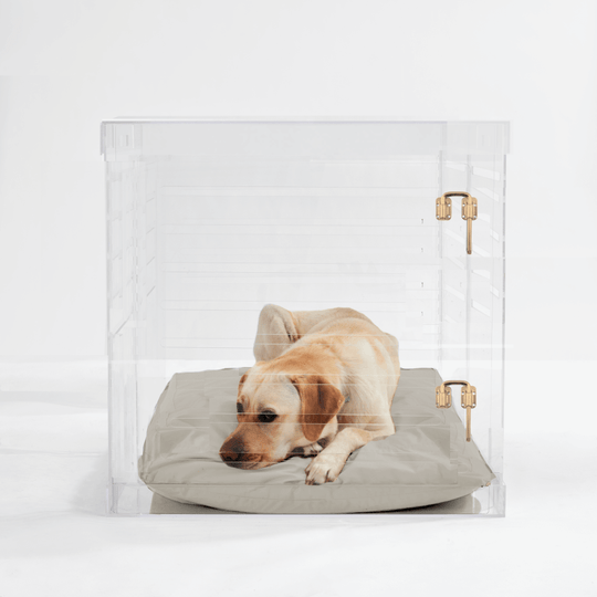 Large Crate (Gold Latch)