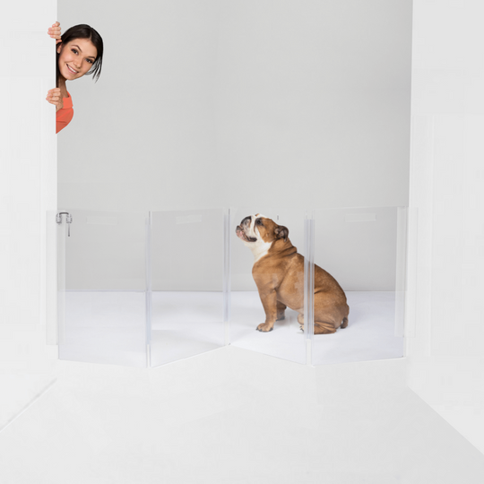 Wall Mount Zig Zag Gate (Low)