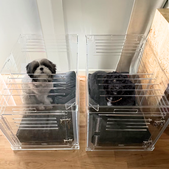 Medium Crate (Silver Latch)