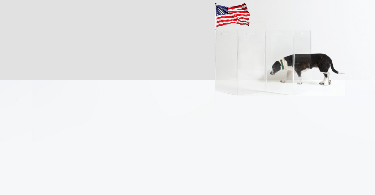 Promotional image