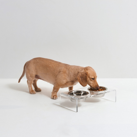 Monogram Silver Feeder