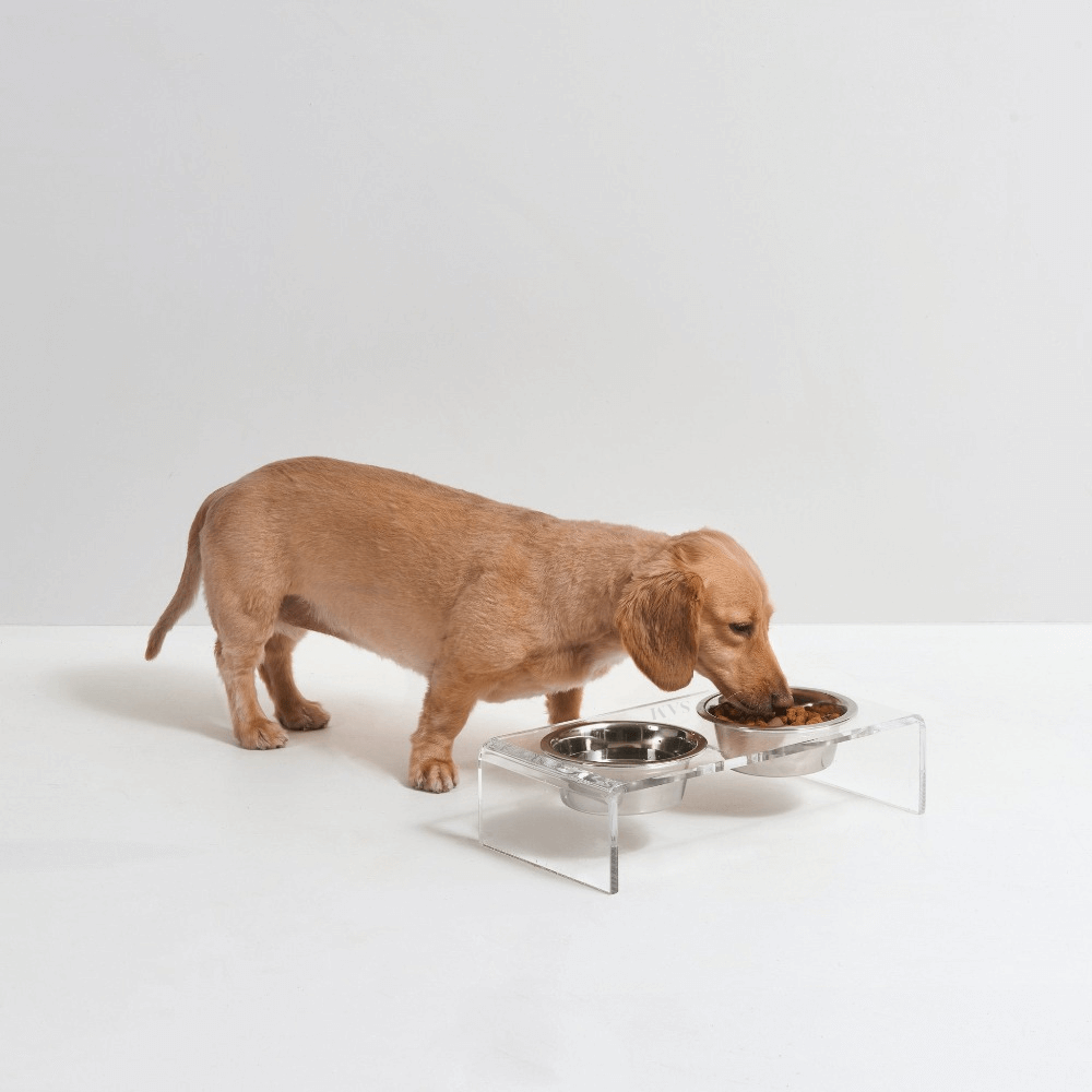 Monogram Silver Feeder
