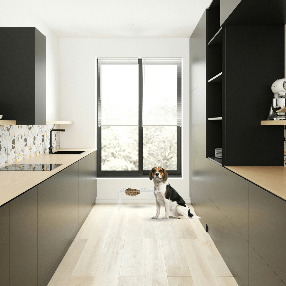 Medium Glass Bowl Feeder