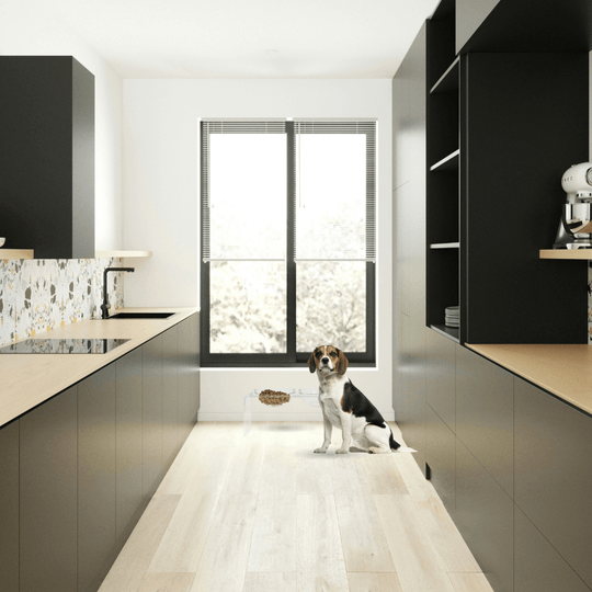 Medium Glass Bowl Feeder