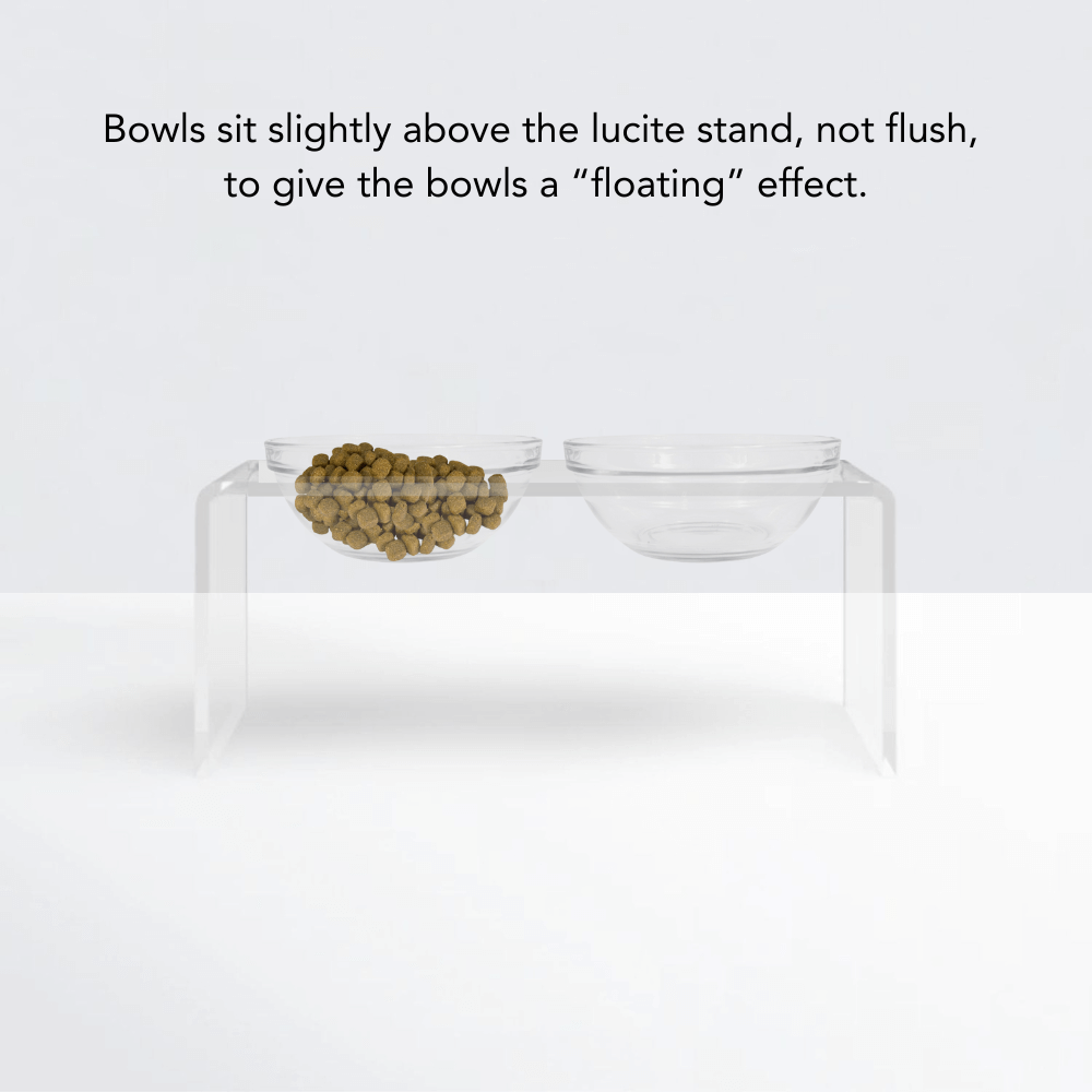 Medium Glass Bowl Feeder