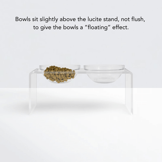 Medium Glass Bowl Feeder