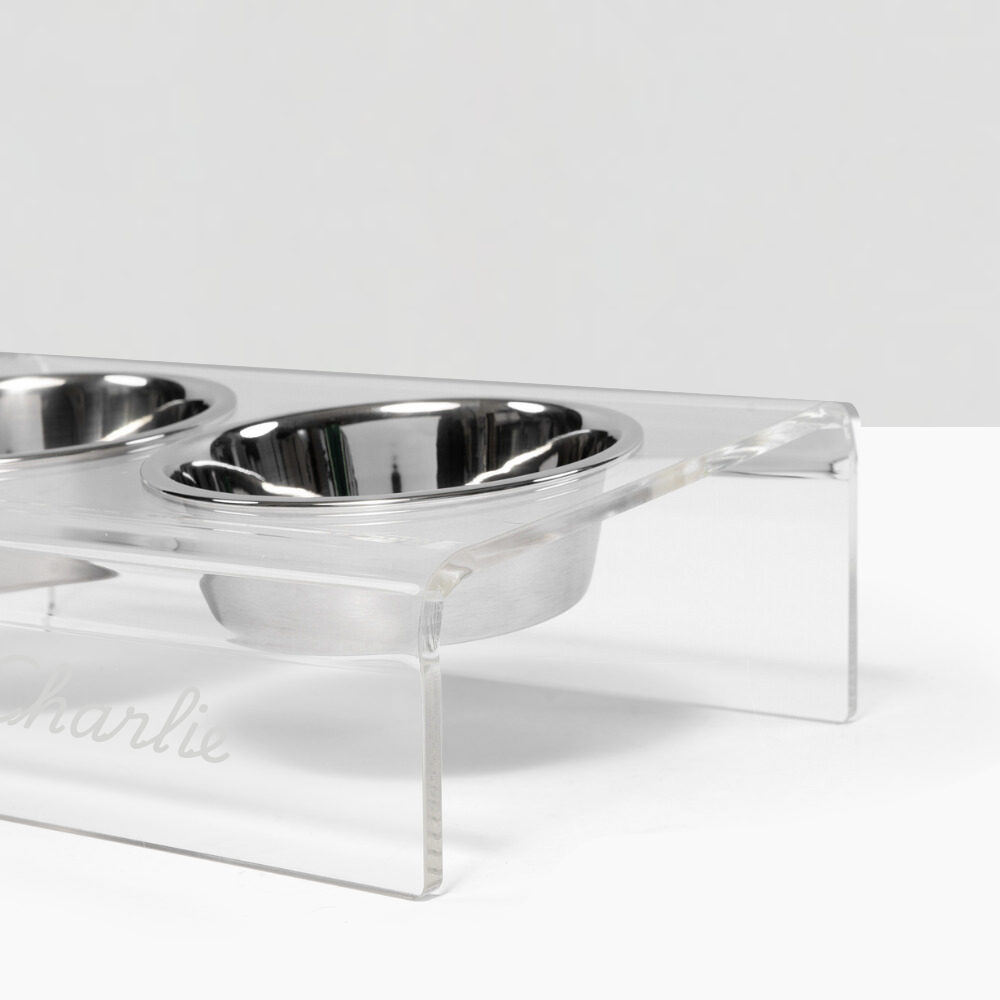 Personalized Slanted Silver Bowl Feeder | Options