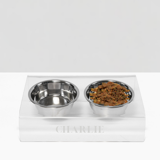 Personalized Slanted Silver Bowl Feeder | Options